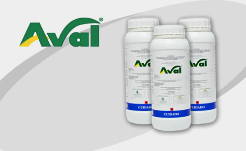 AVAL Fermintesa