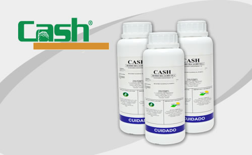 CASH Fermintesa