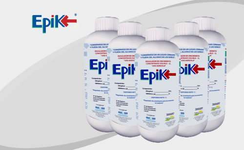 EPIK Fermintesa