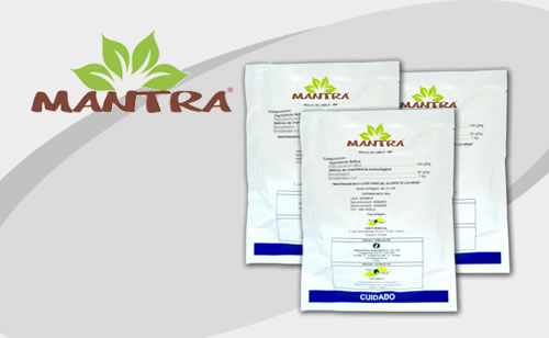 MANTRA Fermintesa