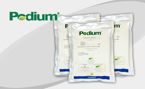 PODIUM  Fermintesa