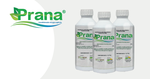 PRANA Fermintesa