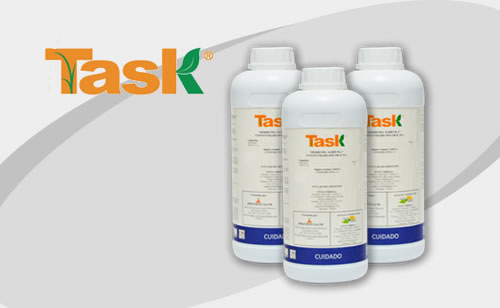 TASK  Fermintesa